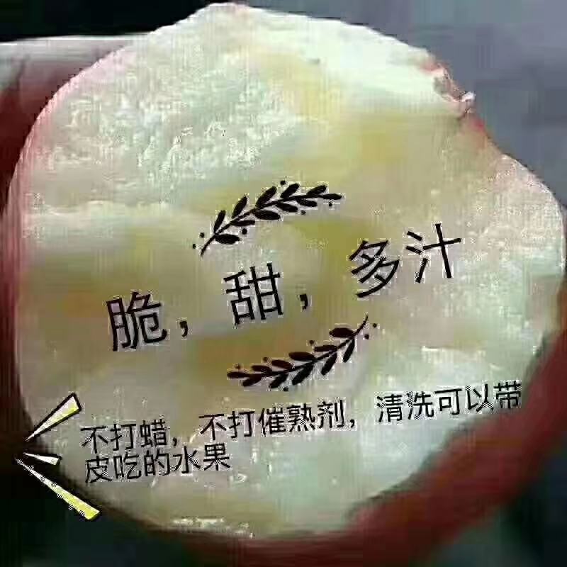 高原红富士一件代打，要的朋友可以订货。产地直发