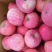 高原红富士一件代打，要的朋友可以订货。产地直发