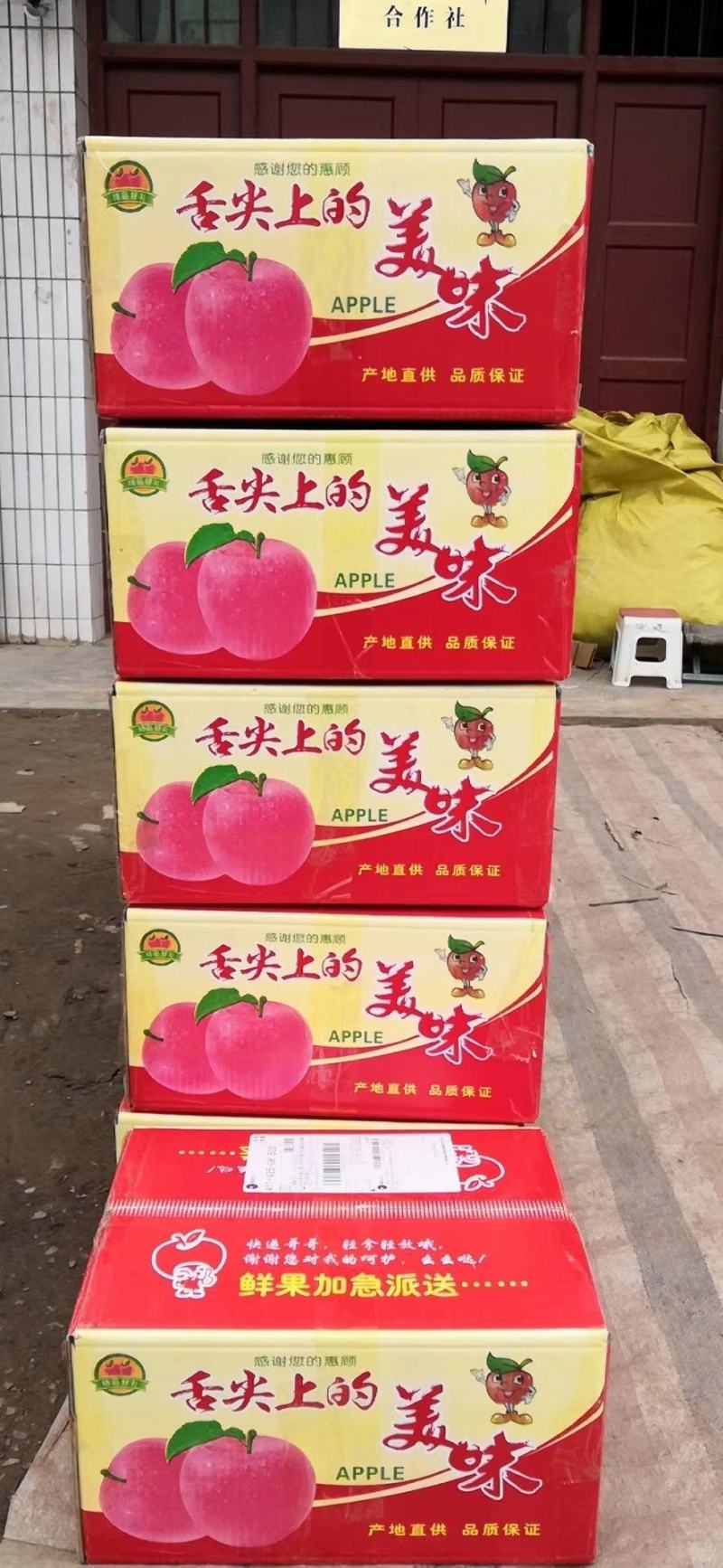 高原红富士一件代打，要的朋友可以订货。产地直发