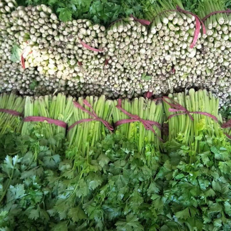 芹菜