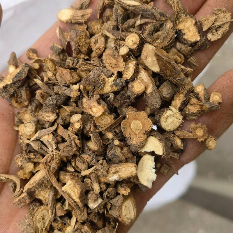 前胡毛前胡选关书药业批发各种规格中药材