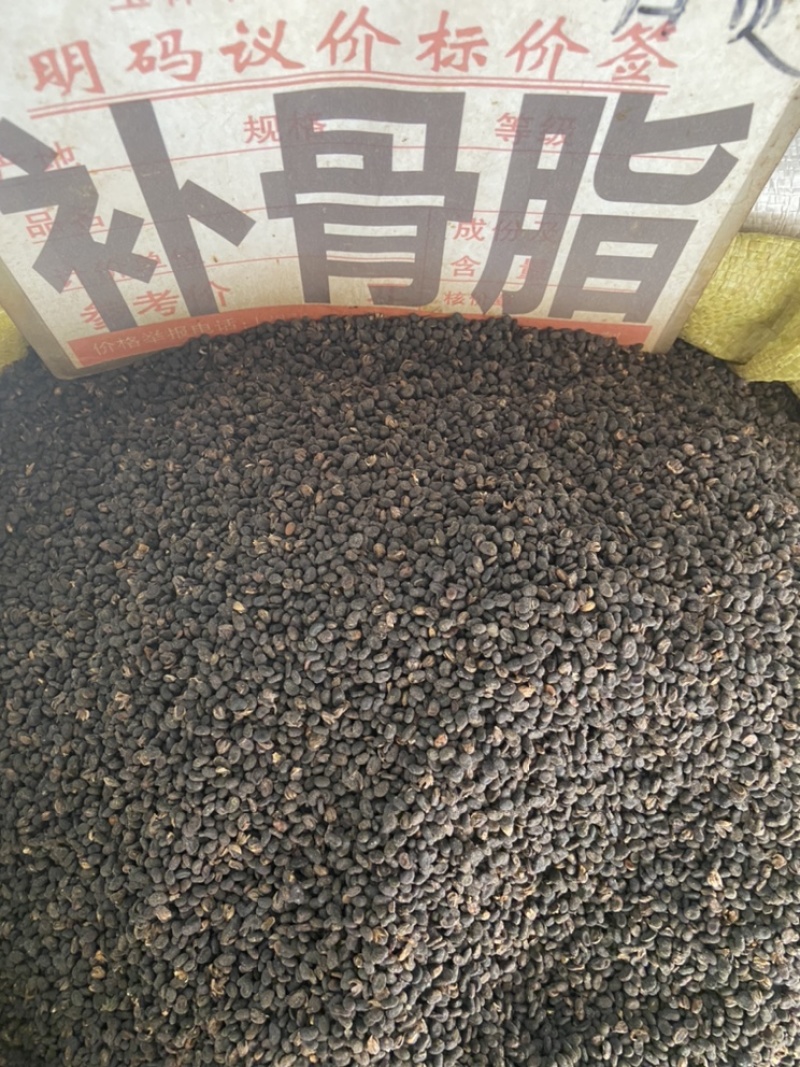 补骨脂中药材新货野生胡故子破故纸胡韭子黑故子