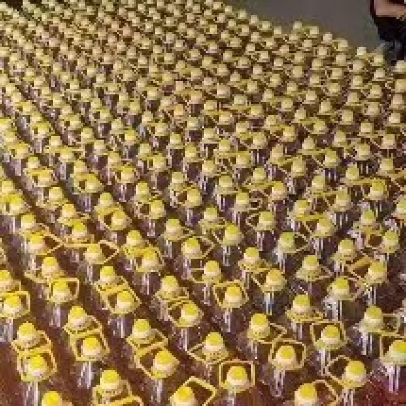 5L浓香花生油厂家直供品质保证量大从优品质保障
