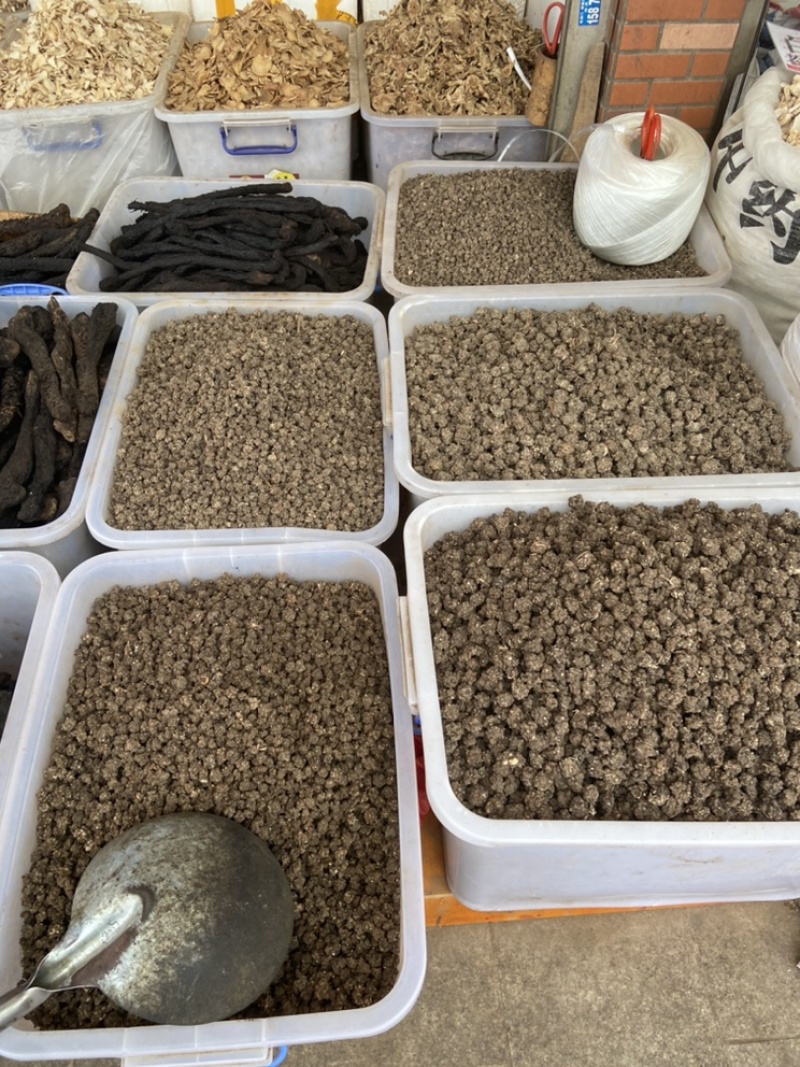 中药材猫爪草中药猫爪草野生新鲜正品猫抓草水洗猫爪草