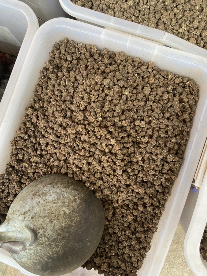 中药材猫爪草中药猫爪草野生新鲜正品猫抓草水洗猫爪草