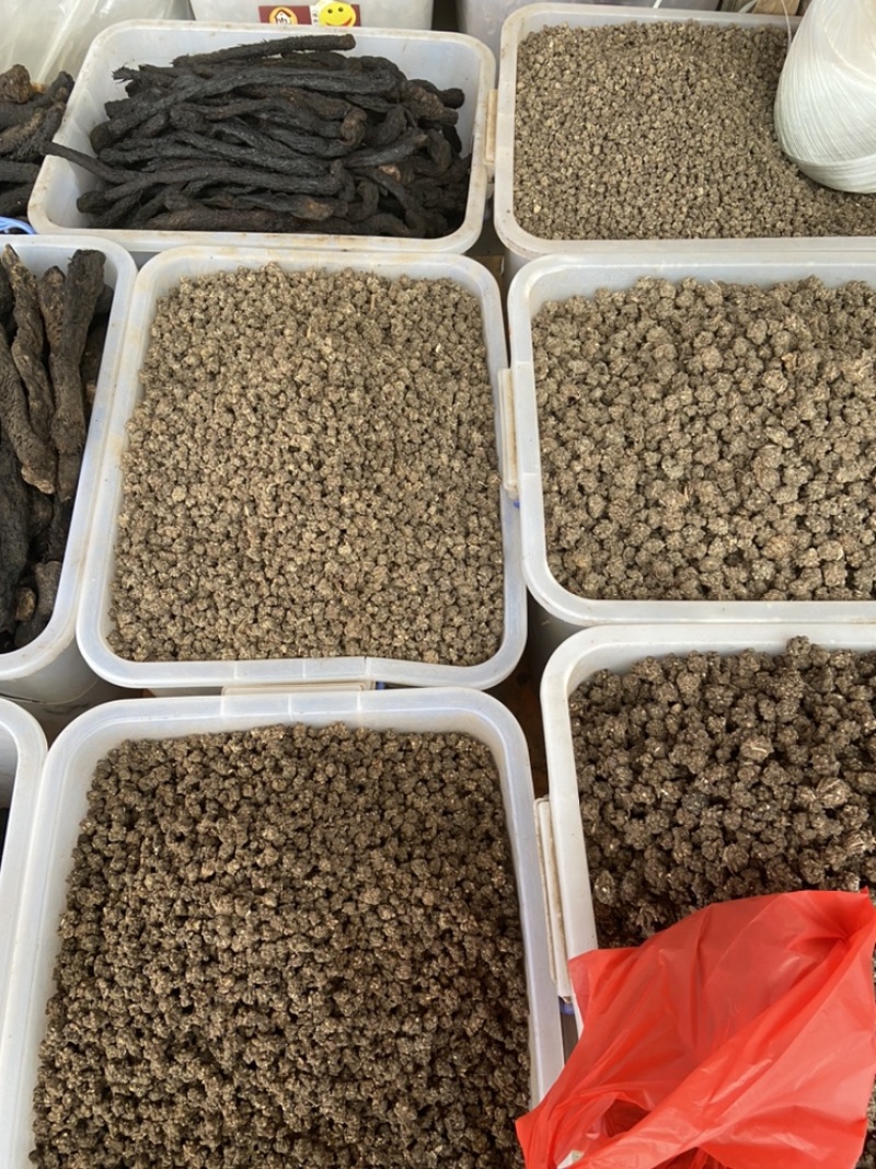 中药材猫爪草中药猫爪草野生新鲜正品猫抓草水洗猫爪草