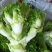 儿菜，大心子儿菜，好货