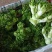 儿菜，大心子儿菜，好货