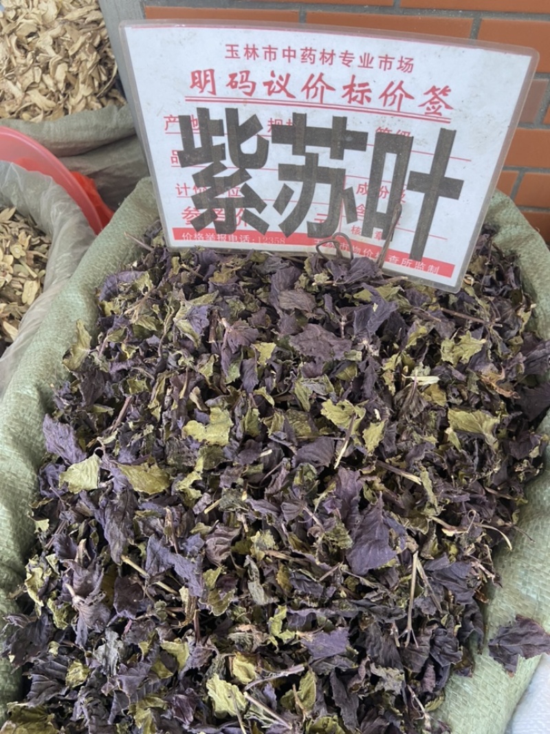 紫苏叶紫苏梗紫苏梗苏叶
