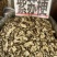 紫苏叶紫苏梗紫苏梗苏叶