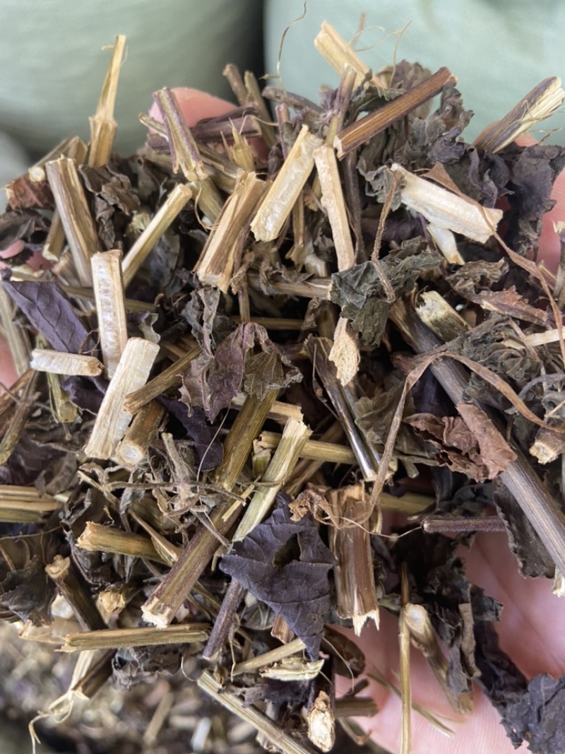 紫苏叶紫苏梗紫苏梗苏叶