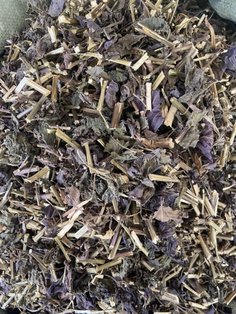 紫苏叶紫苏梗紫苏梗苏叶