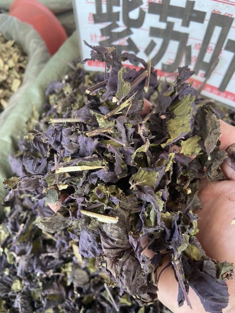 紫苏叶紫苏梗紫苏梗苏叶