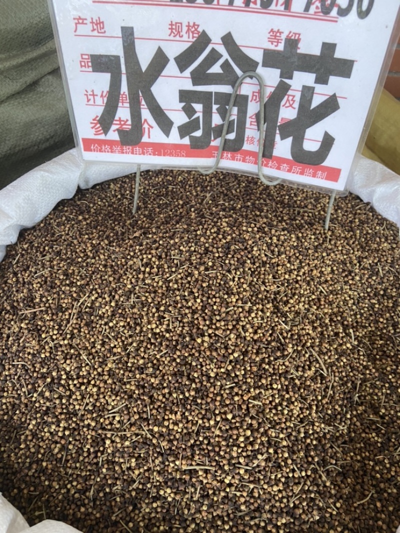 水翁花。中药水雍花酒翁水榕花