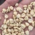 大量收购白糯花糯黄糯玉米颗粒干棒子