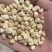大量收购白糯花糯黄糯玉米颗粒干棒子