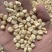 大量收购白糯花糯黄糯玉米颗粒干棒子