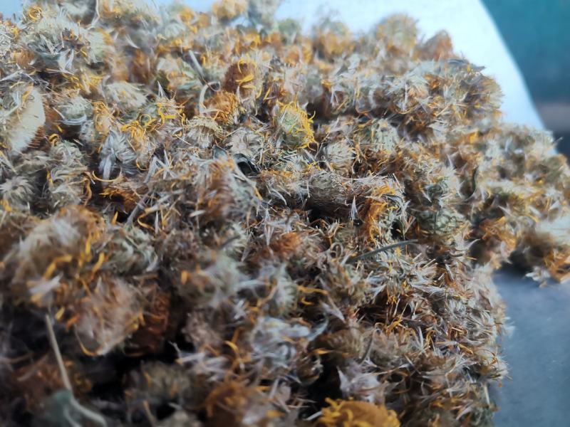 旋覆花药用中药材精品新货干货量大从优一件代发