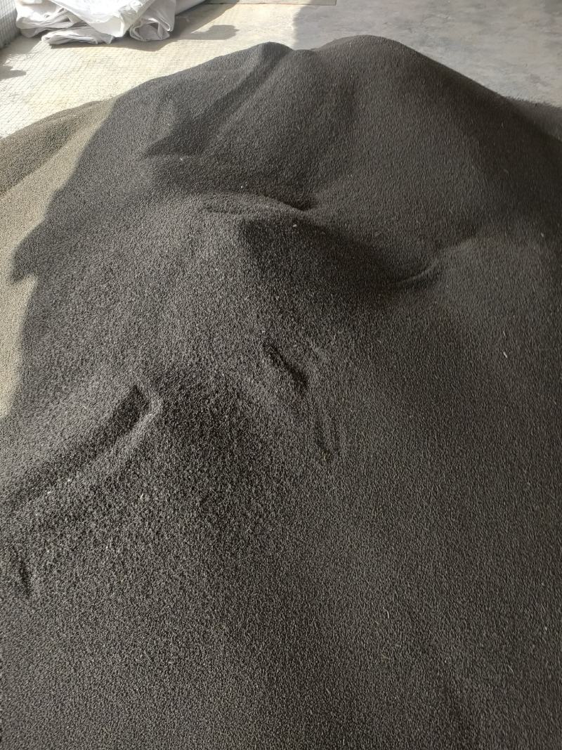 太子参种子