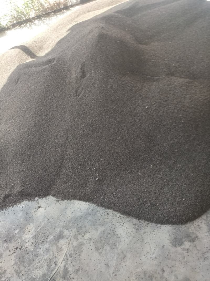 太子参种子