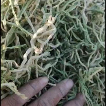 精品水果罗卜干有需要的老板！