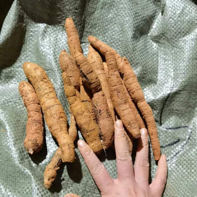 瓜子牛新鲜正宗粉质牛大力薯适合夏季煲汤饮食~现挖现发。