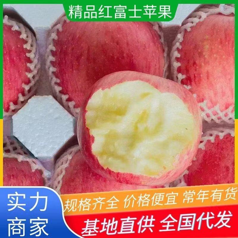 【推荐】红富士苹果苹果大量上市产地直销价格美丽欢迎联系