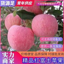 【推荐】红富士苹果苹果大量上市产地直销价格美丽欢迎