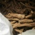 木香片木香产地直销！有圆片，有斜片。量大可优惠。