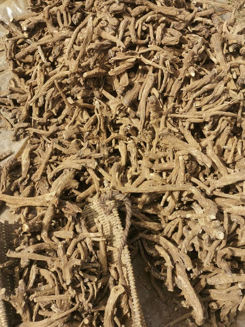 木香片木香产地直销！有圆片，有斜片。量大可优惠。