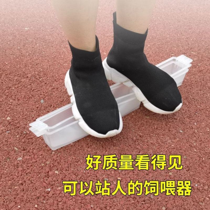 1.5kg饲喂器1.5公斤加厚型喂水器喂蜜蜂槽喂糖器养蜂