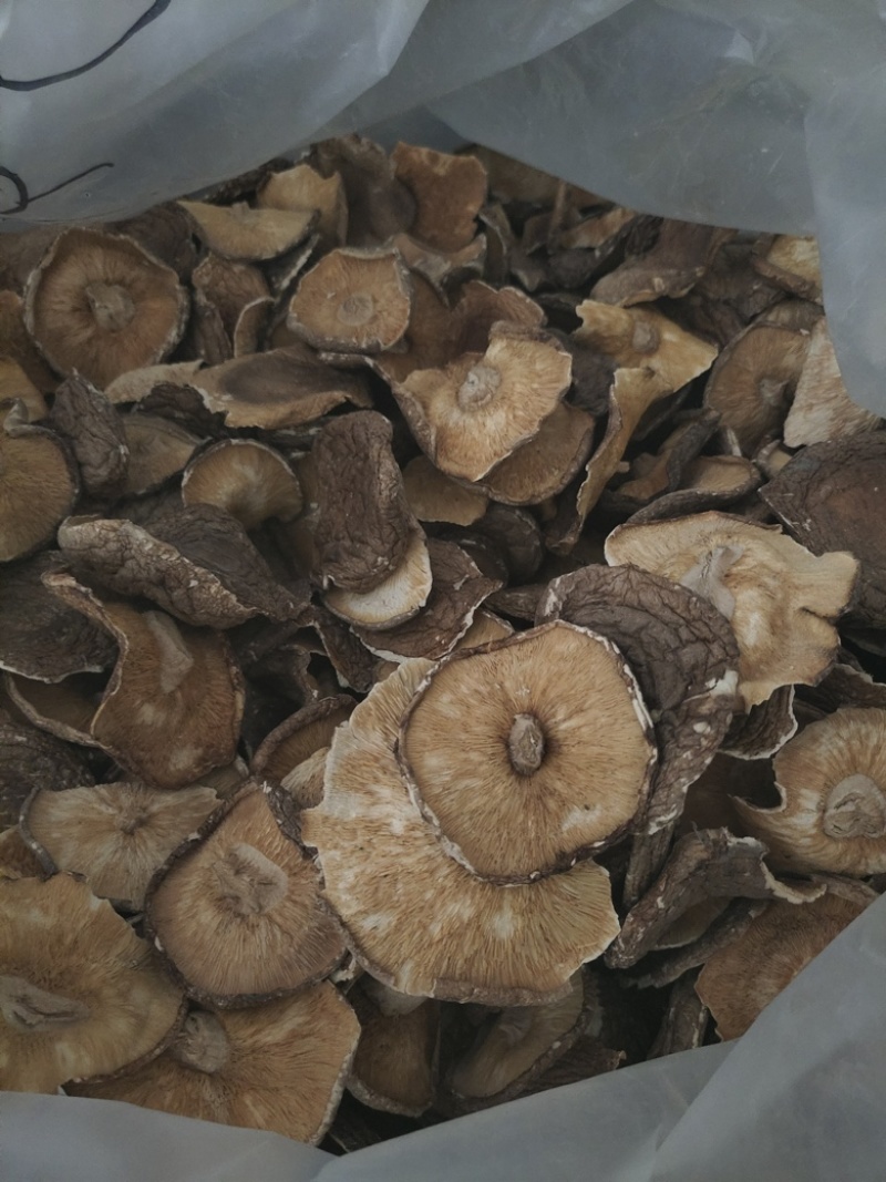 可定制菇丝菇粒菇粉及原料干净无杂质出口品质