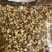 可定制菇丝菇粒菇粉及原料干净无杂质出口品质