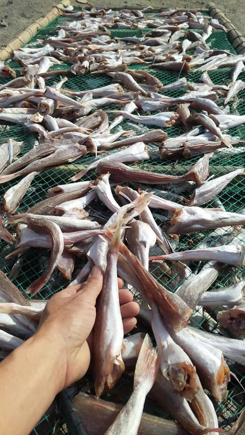 红头鱼红娘鱼大小规格齐全鲜货加工品质保证