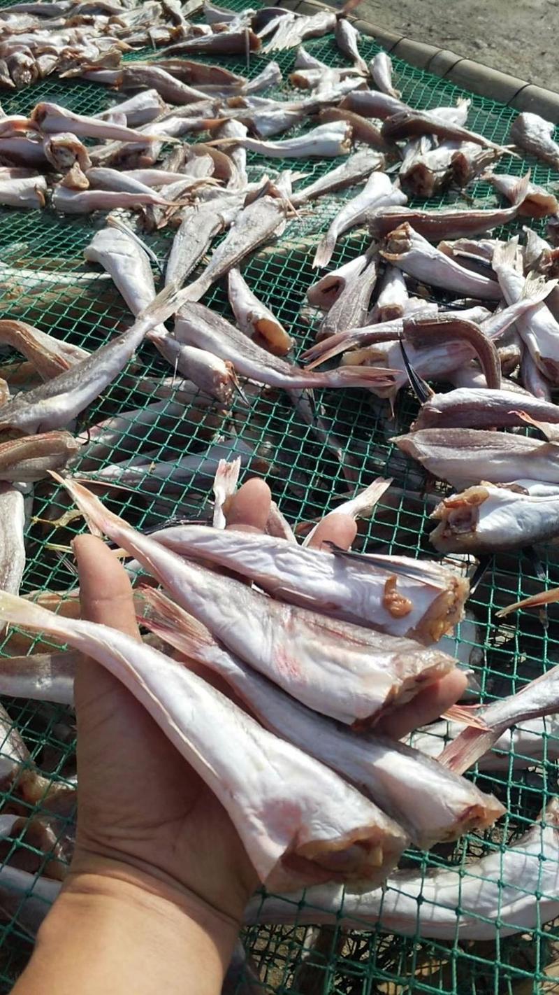 红头鱼红娘鱼大小规格齐全鲜货加工品质保证