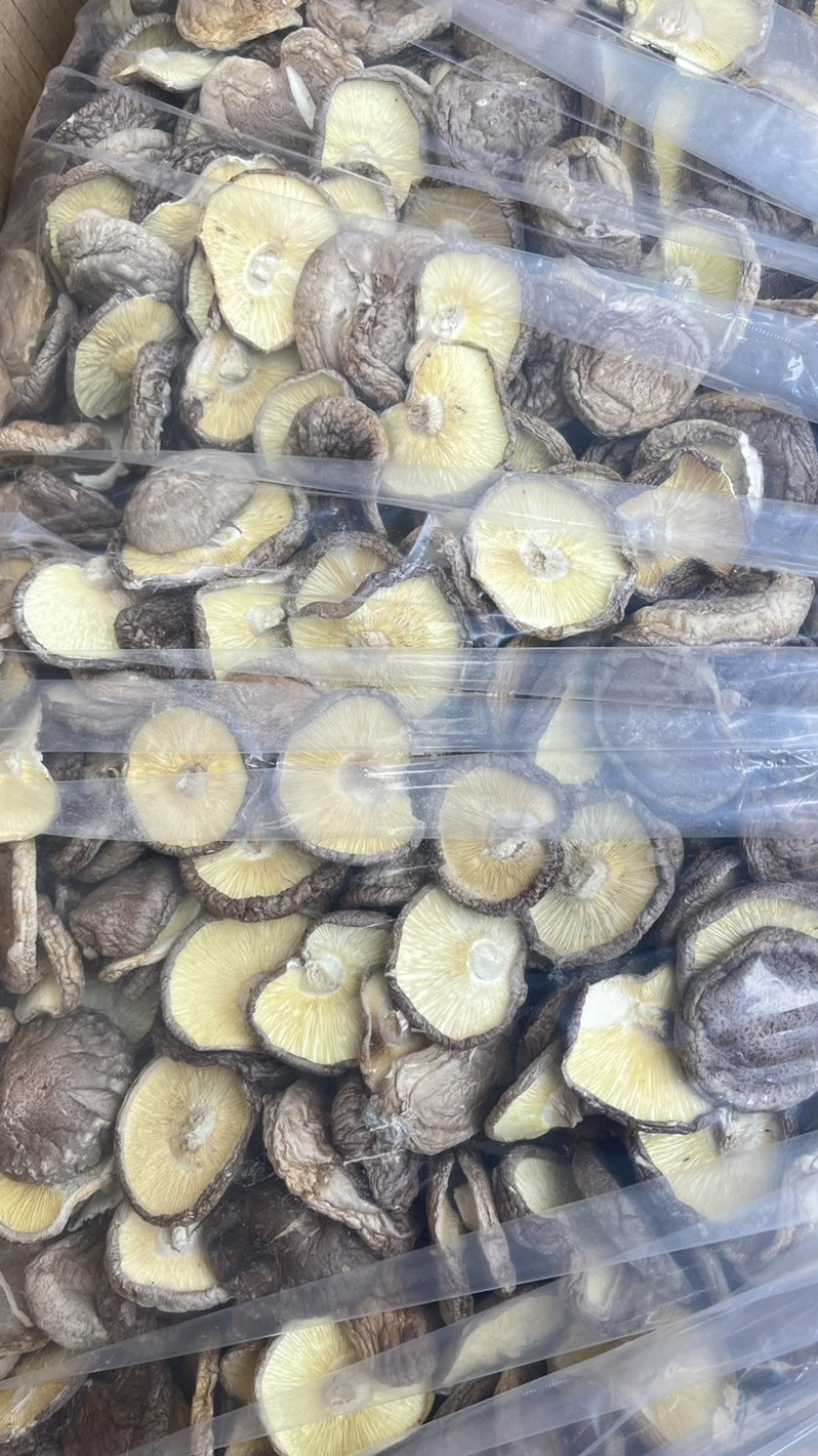 可定制菇丝菇粒菇粉及原料干净无杂质出口品质