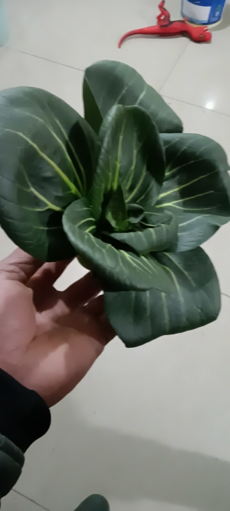 湖北热卖精品油菜，保质保量，脆甜清香，基地直销，上车价