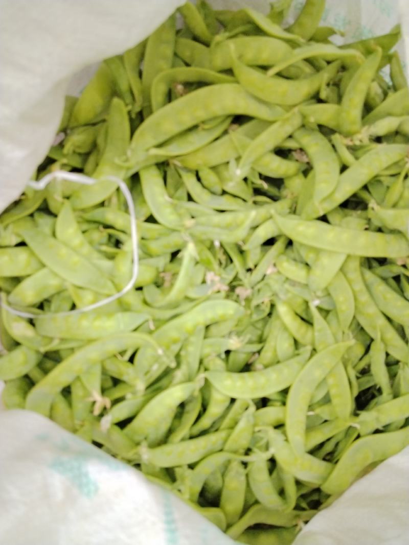 广西横州市荷兰豆上市了，颜色青秀，口感甜，欢迎全国各地老