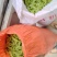广西横州市荷兰豆上市了，颜色青秀，口感甜，欢迎全国各地老