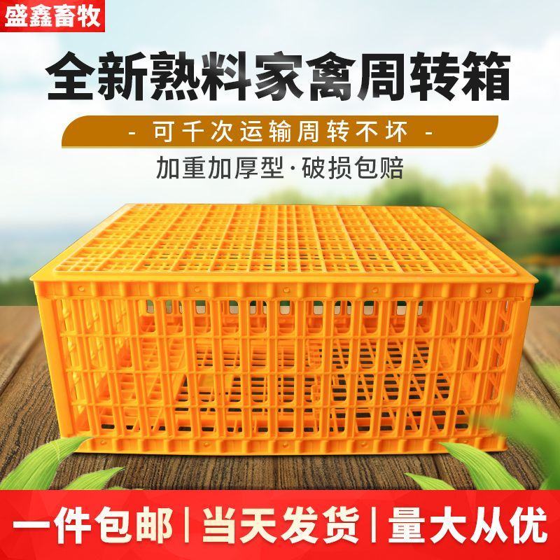 【量大从优】鸡笼周转箱家用大号加厚防摔养殖运输塑料鸡鸭鹅