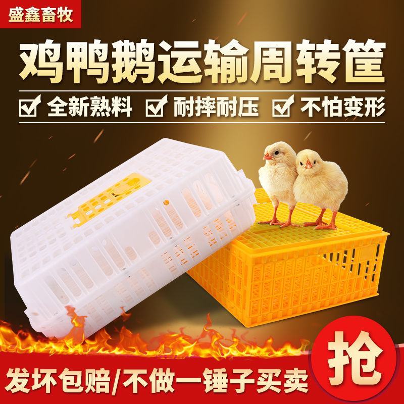 【量大从优】鸡笼周转箱家用大号加厚防摔养殖运输塑料鸡鸭鹅
