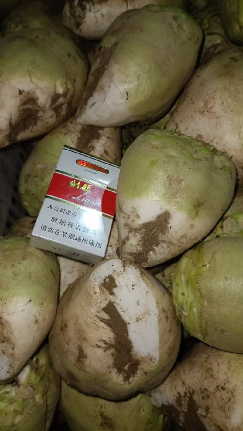 山东大头菜芥菜头芥菜疙瘩辣疙瘩产地一手货源