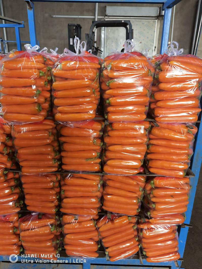 精品水洗胡萝卜，各种规格，包装齐全，供应电商市场