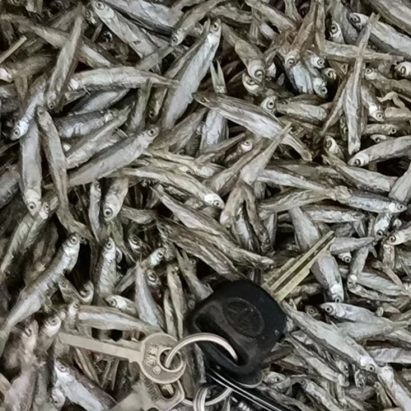 小鱼干