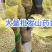 白玉山药豆大量上市，一手货源，货源充足