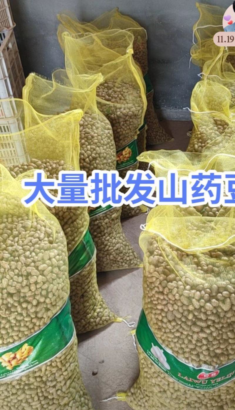 白玉山药豆大量上市，一手货源，货源充足