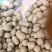 白玉山药豆大量上市，一手货源，货源充足