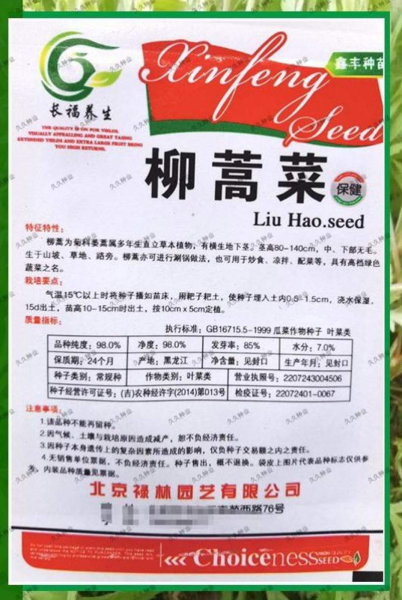 柳蒿菜种子东北野生柳蒿芽种籽种根易活好管理耐寒南北方可种