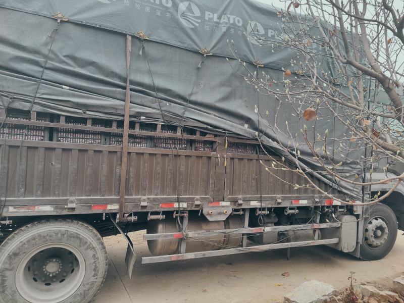 山楂大量上市量大价格低，有需要的老板可以联系