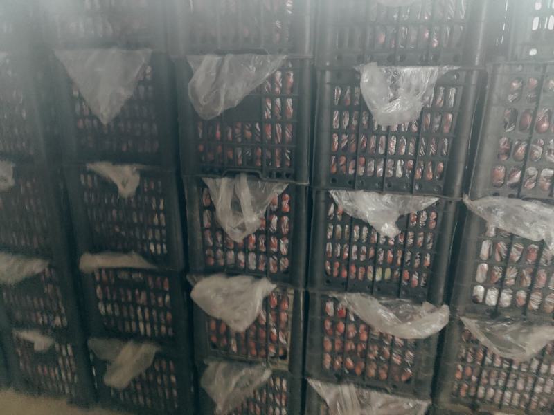 山楂大量上市量大价格低，有需要的老板可以联系
